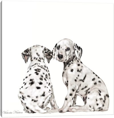 Dalmations Canvas Art Print - Puppy Art