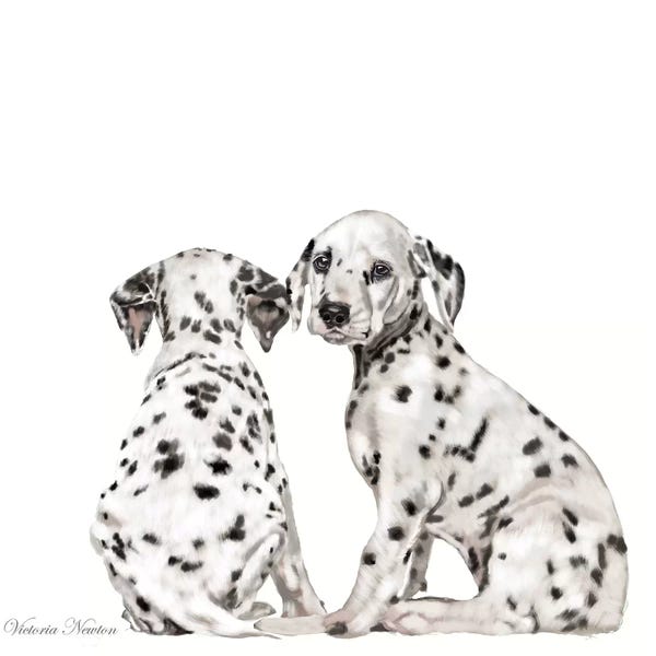 Vicki Newton: Dalmations by Vicki Newton
