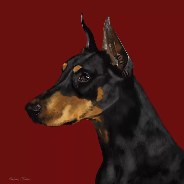 Vicki Newton: Doberman by Vicki Newton