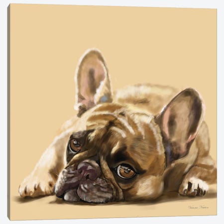French Bulldog Resting Canvas Print #VNE33} by Vicki Newton Canvas Artwork