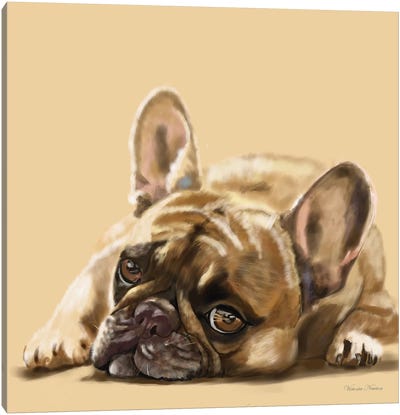 French Bulldog Resting Canvas Art Print - Vicki Newton