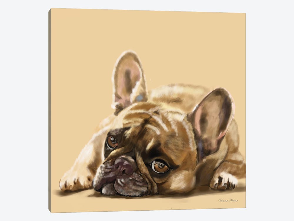 French Bulldog Resting 1-piece Canvas Artwork
