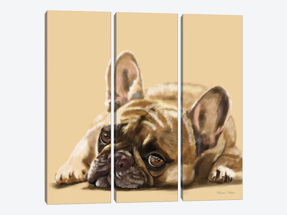 French Bulldog Resting by Vicki Newton 3-piece Canvas Wall Art