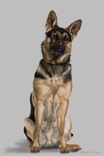 Vicki Newton: German Shepherd Full Body by Vicki Newton