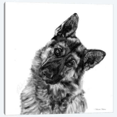 German Shepherd Curious Canvas Print #VNE36} by Vicki Newton Art Print