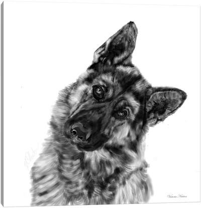 German Shepherd Curious Canvas Art Print - Vicki Newton