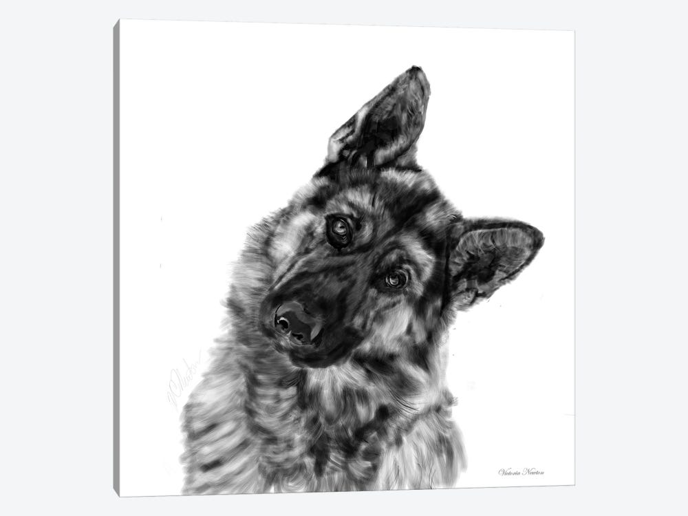 German Shepherd Curious by Vicki Newton 1-piece Canvas Print