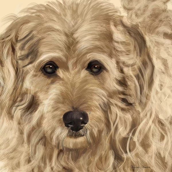 Vicki Newton: Golden Doodle by Vicki Newton
