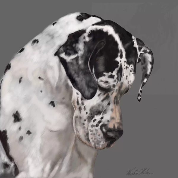 Vicki Newton: Great Dane by Vicki Newton