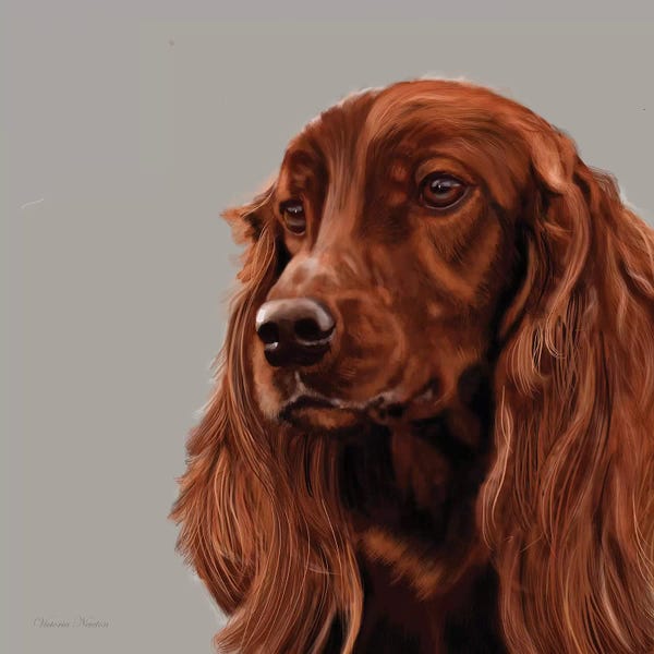 Vicki Newton: Irish Setter by Vicki Newton