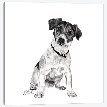 Jack Russell In Black & White Canvas Print #VNE43} by Vicki Newton Canvas Print