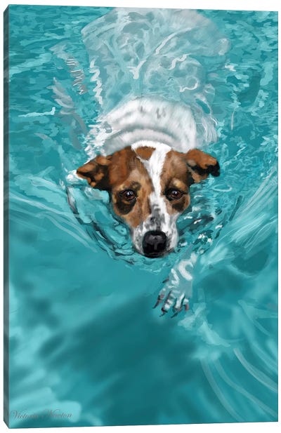 Jack Russell Swimming Canvas Art Print - Jack Russell Terriers