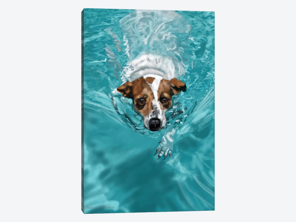Jack Russell Swimming by Vicki Newton 1-piece Canvas Art Print
