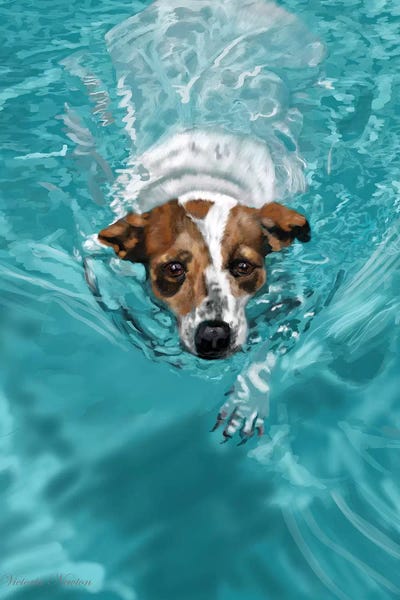 The Modern Man's Best Friend: Jack Russell Swimming by Vicki Newton