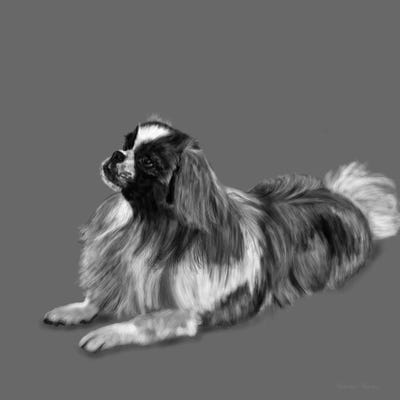 King Charles by Vicki Newton metal wall art