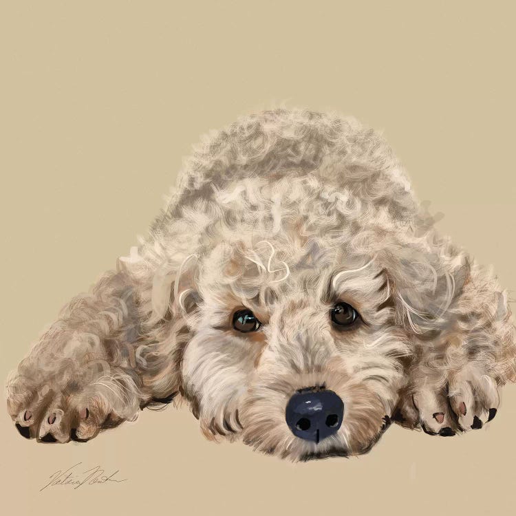 Labradoodle by Vicki Newton wall art