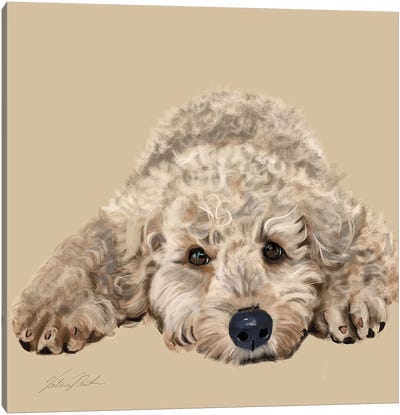 Labradoodle Canvas Art Print - Pet Industry