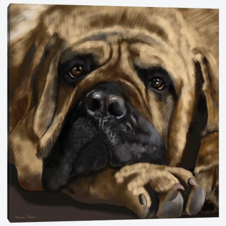 Mastiff Canvas Print #VNE53} by Vicki Newton Canvas Artwork