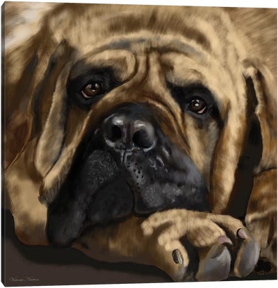 Mastiff Canvas Art Print - Vicki Newton