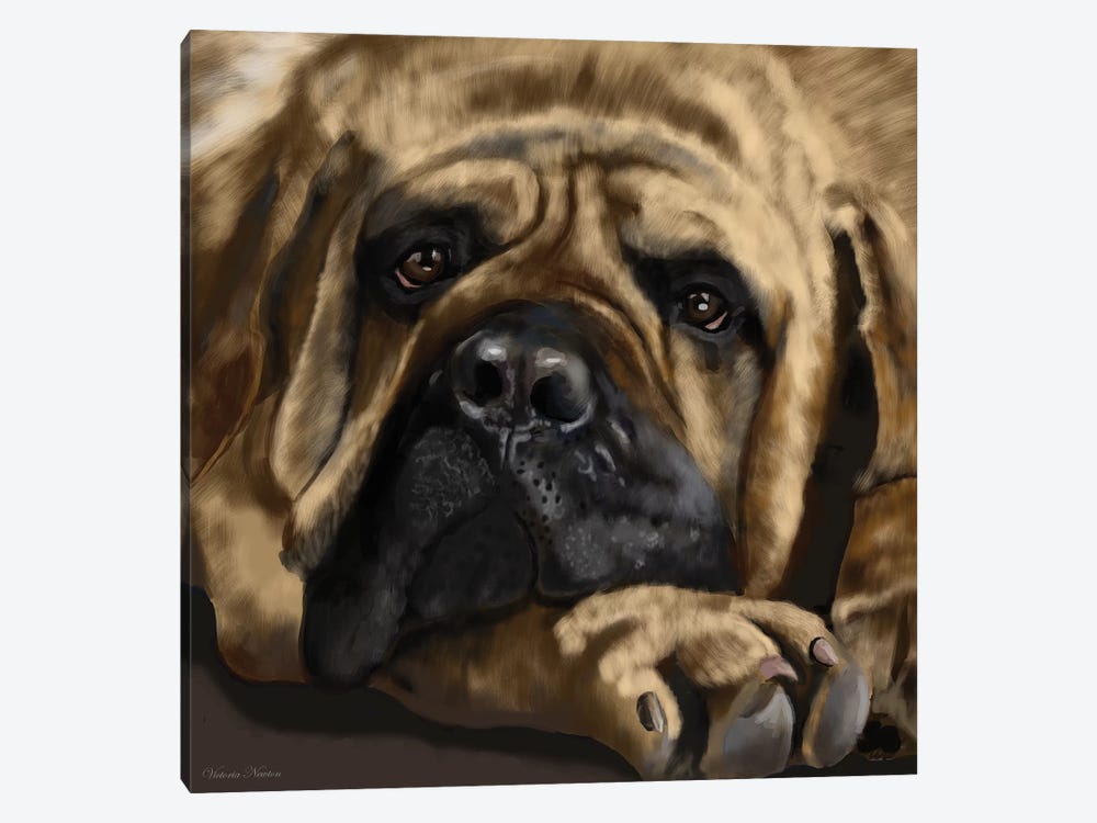 Mastiff by Vicki Newton 1-piece Canvas Artwork