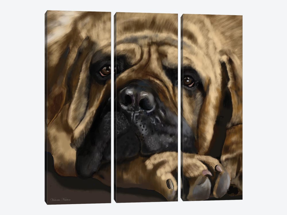 Mastiff by Vicki Newton 3-piece Canvas Art