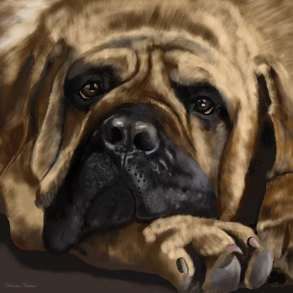 Vicki Newton: Mastiff by Vicki Newton