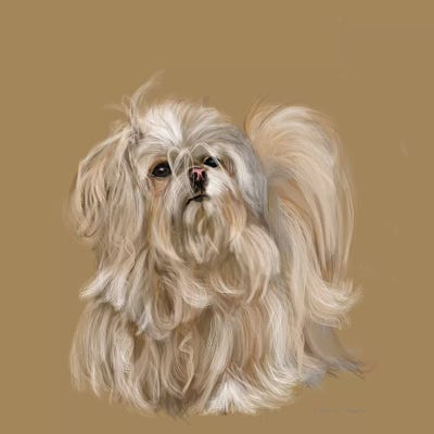 Mika by Vicki Newton canvas print