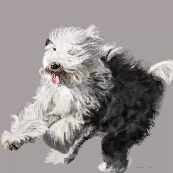 The Modern Man's Best Friend: Old English Sheepdog by Vicki Newton