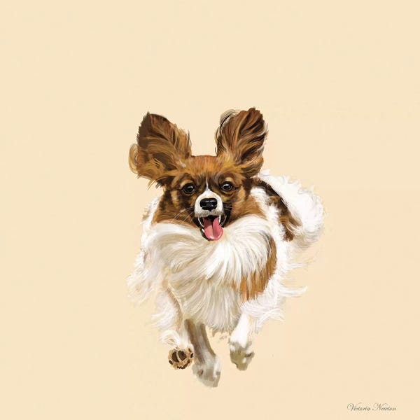 Vicki Newton: Pappillon by Vicki Newton