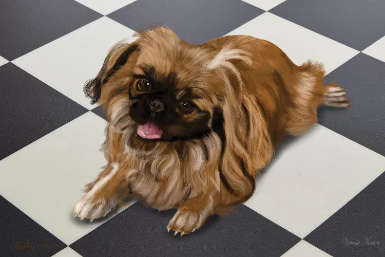 Peke by Vicki Newton wall art
