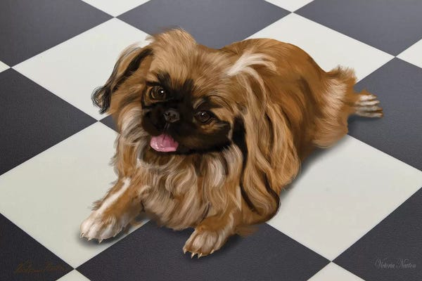 Vicki Newton: Peke by Vicki Newton