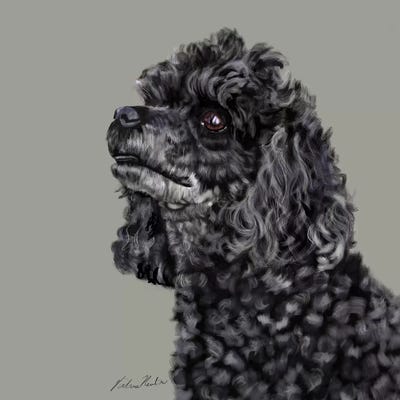Poodle by Vicki Newton art print