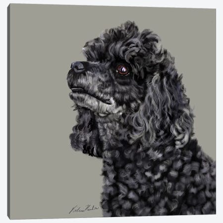 Poodle Canvas Print #VNE59} by Vicki Newton Canvas Artwork