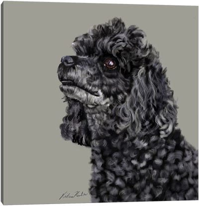 Poodle Canvas Art Print - Vicki Newton