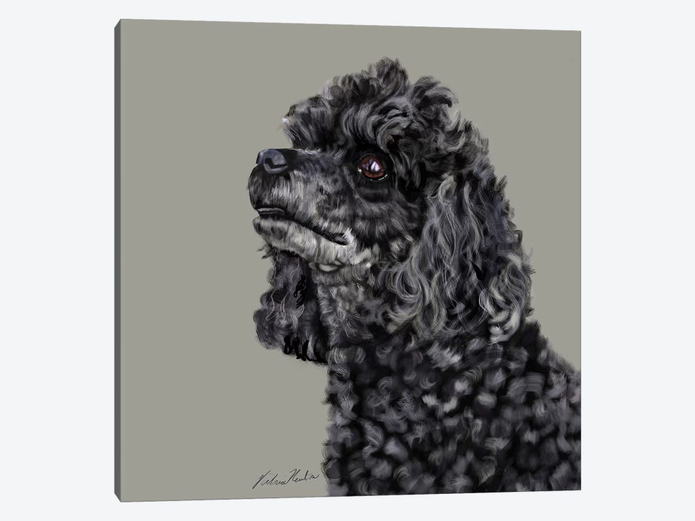Poodle by Vicki Newton 1-piece Canvas Artwork