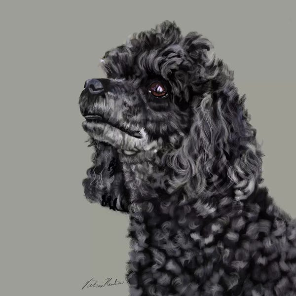Vicki Newton: Poodle by Vicki Newton