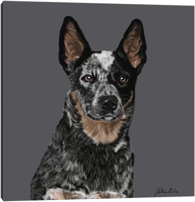 Australian Cattle Dog, head in profile, panting For sale as Framed