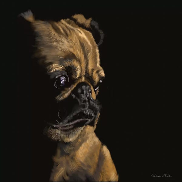 Vicki Newton: Pug by Vicki Newton