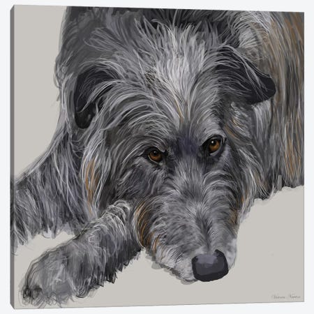Scottish Deerhound Canvas Print #VNE64} by Vicki Newton Canvas Art