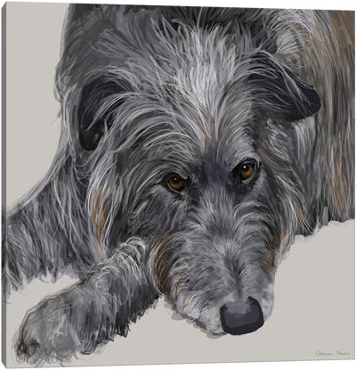 Scottish Deerhound Canvas Art Print