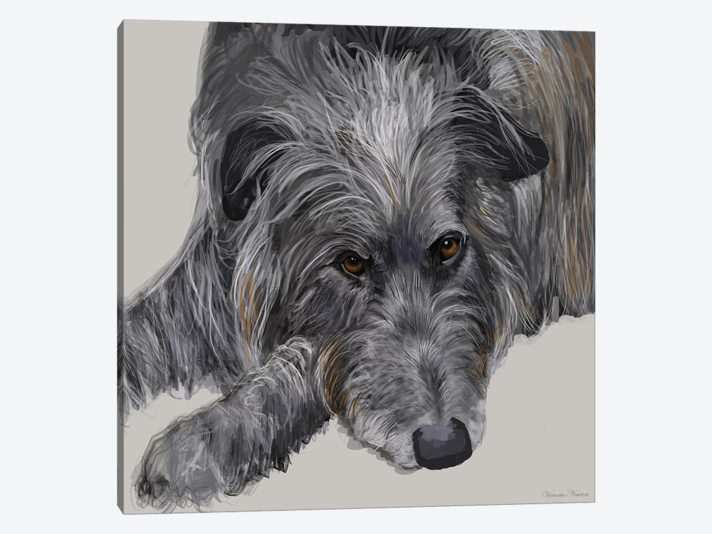 Scottish Deerhound by Vicki Newton 1-piece Canvas Artwork