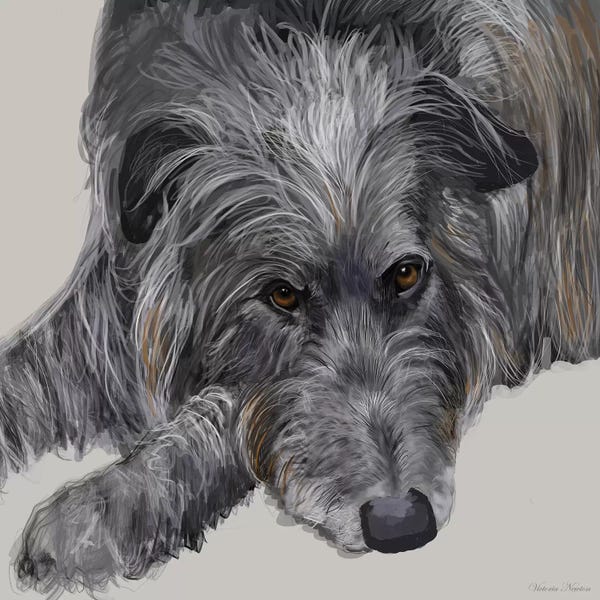 Vicki Newton: Scottish Deerhound by Vicki Newton