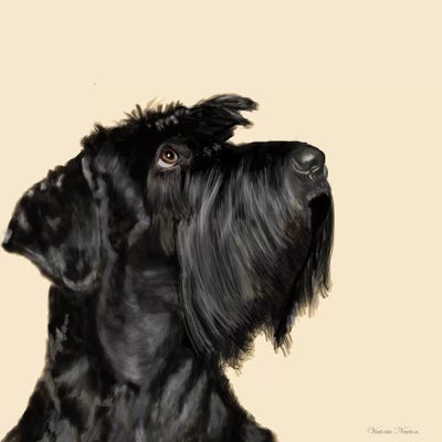 Scottish Terrier by Vicki Newton art print