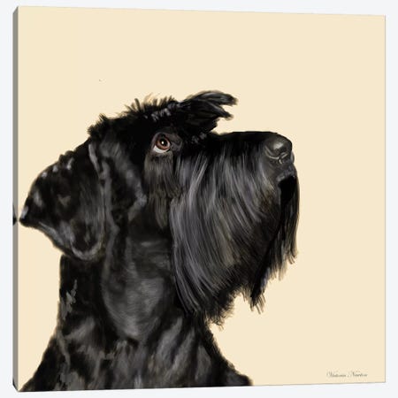 Scottish Terrier Canvas Print #VNE65} by Vicki Newton Canvas Artwork