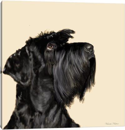 Scottish Terrier Canvas Art Print - Vicki Newton