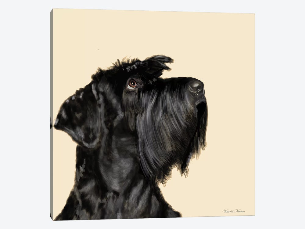 Scottish Terrier by Vicki Newton 1-piece Canvas Art Print