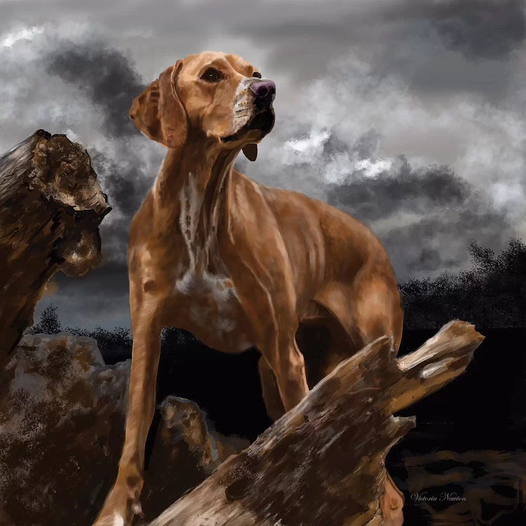 Viszla by Vicki Newton wall art