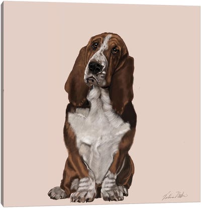 Bassett Hound Canvas Art Print - Basset Hound Art