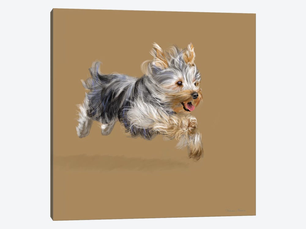 Yorkshire Terrier by Vicki Newton 1-piece Canvas Art Print