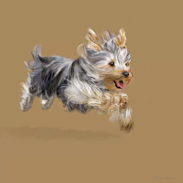 Vicki Newton: Yorkshire Terrier by Vicki Newton